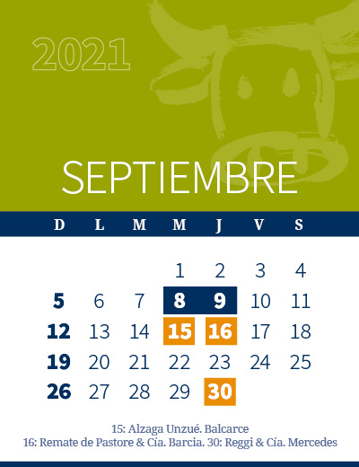 calendario web individual 400x5204-09