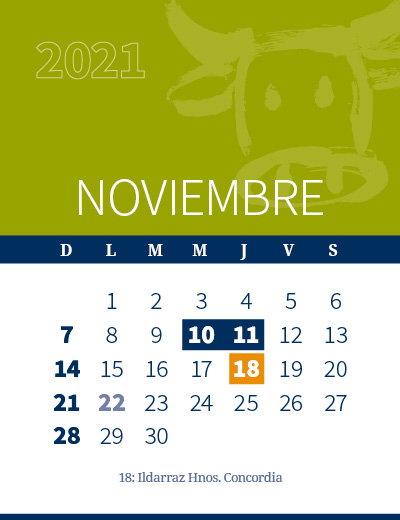 calendario web individual 400x5206-11