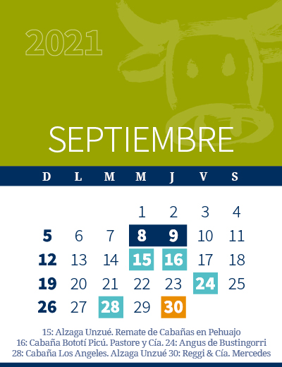 calendario web individual 400x5204 (1)