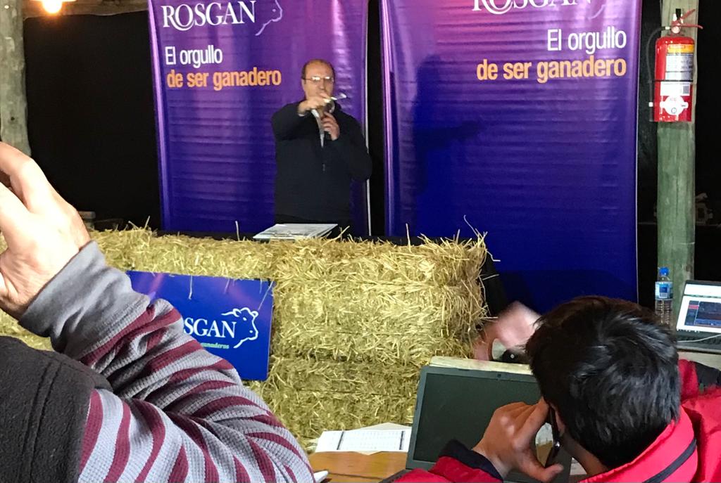Lee más sobre el artículo Con gran agilidad, Rosgan logró un muy buen remate en la Sociedad Rural Argentina