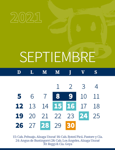 calendario web individual 400x5204 (3)
