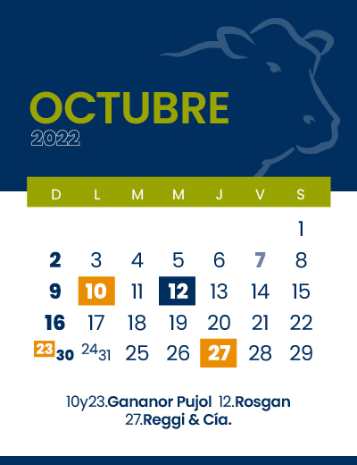 calendario web individual 400x52010