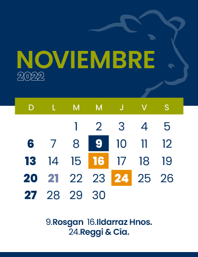 calendario web individual 400x52011