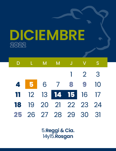 calendario web individual 400x52012