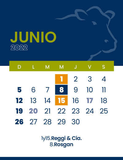 calendario web individual 400x5206
