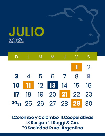 calendario web individual 400x5207