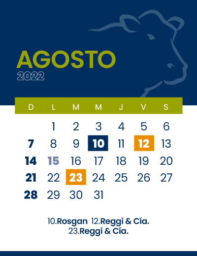 calendario web individual 400x5208