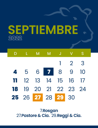 calendario web individual 400x5209