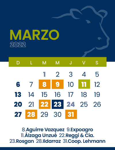 calendario web individual 400x5203 (1)