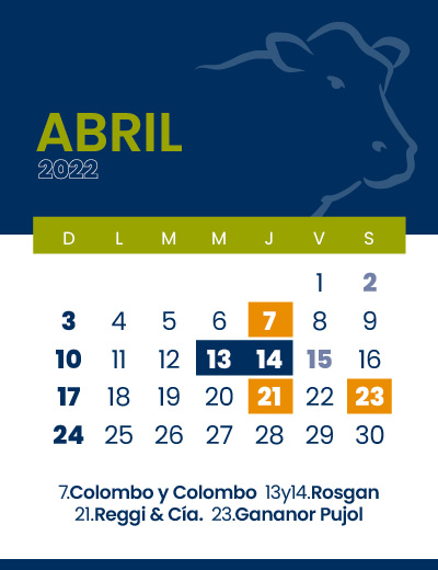 calendario web individual 400x5204 (5)