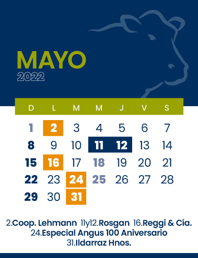 calendario web individual 400x5205 (3)