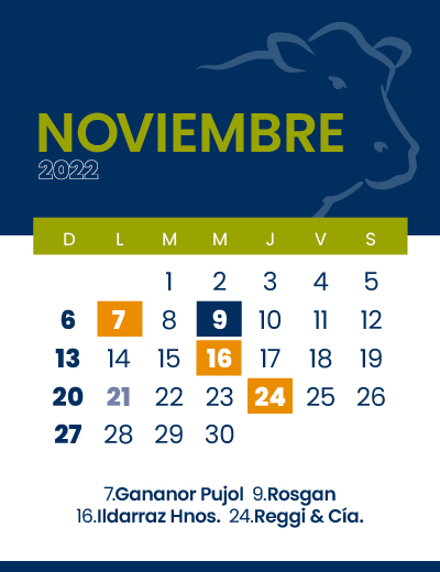 calendario web individual 400x52011