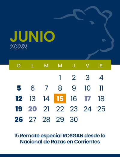 calendario web individual 400x5206