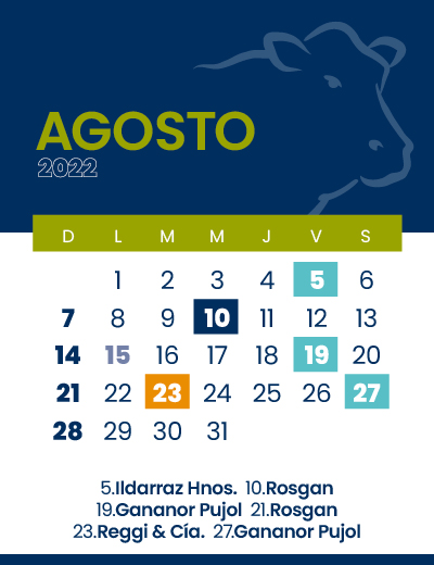 calendario web individual 400x5208