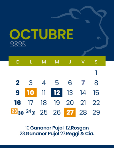 calendario web individual 400x52010