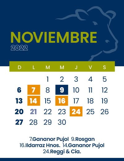calendario web individual 400x52011