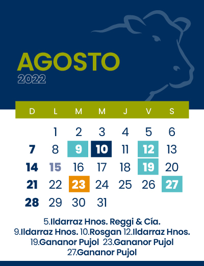 calendario web individual 400x5208