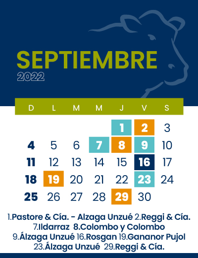 calendario web individual 400x5209