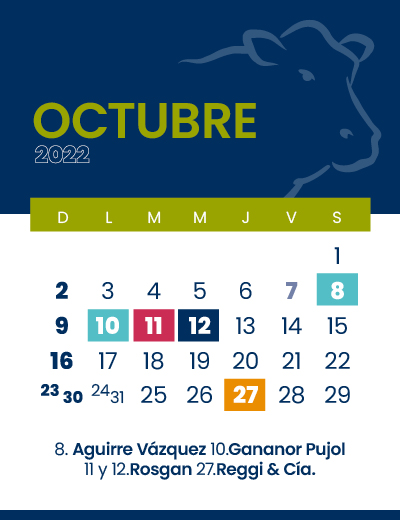 calendario web individual 400x52010 (2)