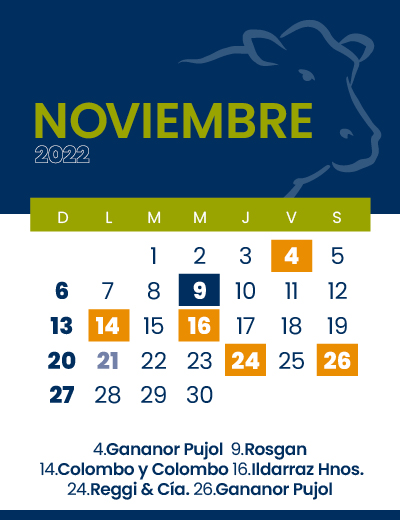 calendario web individual 400x52011