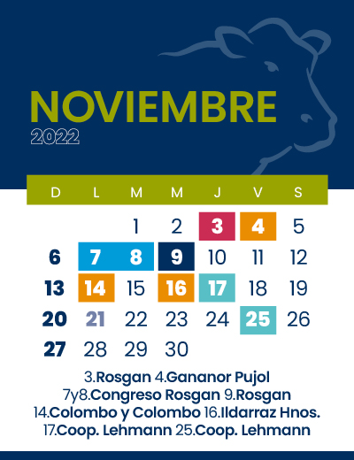 calendario web individual 400x52011 (6)