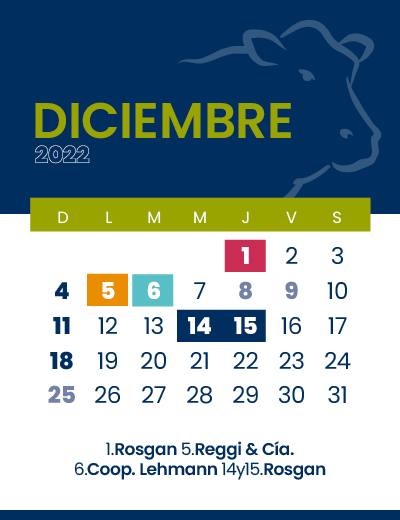 calendario web individual 400x52012 (3)