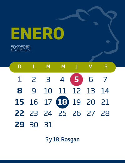 calendario web individual 400x520