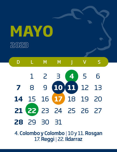 calendario web individual 400x5205