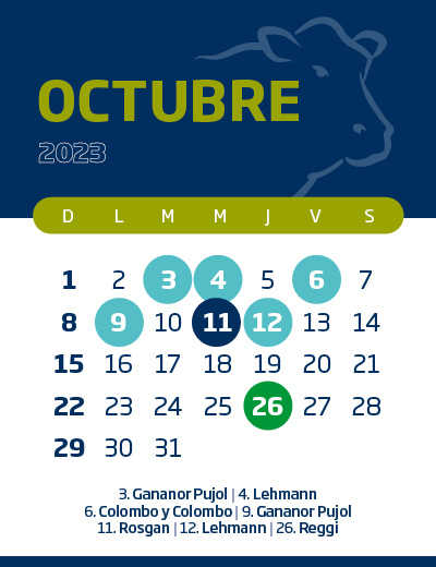 calendario web individual 400x52010 (4)