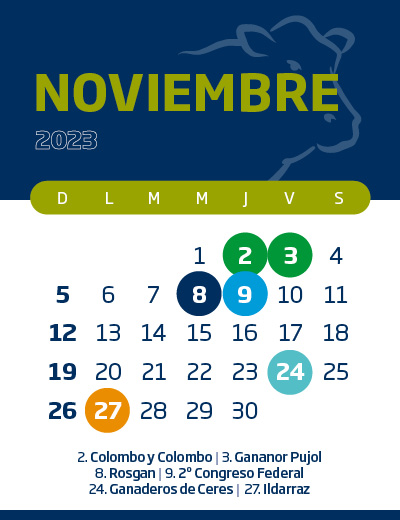 calendario web individual 400x52011 (14)