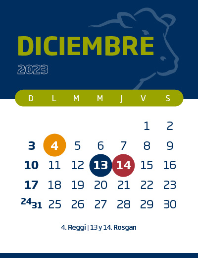 calendario web individual 400x52012 (7)
