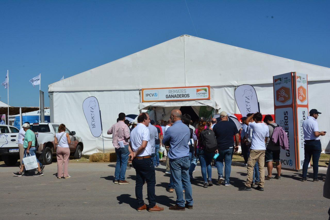 Lee más sobre el artículo ROSGAN EN EXPOAGRO VOLVIÓ A MOSTRAR PORQUE LA GANADERIA TIENE FUTURO